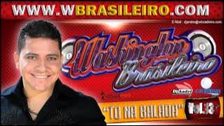 Washington Brasileiro Vol. 13 to na balada