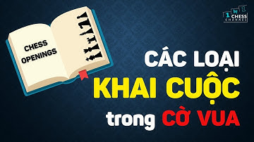 #28 - CỜ VUA CÓ NHỮNG LOẠI KHAI CUỘC NÀO?  |  Back to Basics