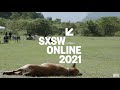 Taiwan beats   get ready for sxsw online 2021