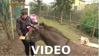 Fiera di Sant'Orso - multifunzionalità in agricoltura