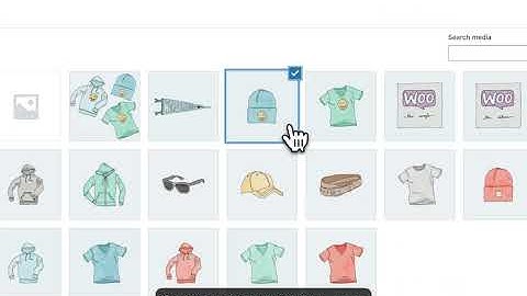A quick look at the PRO addon of Really Simple Featured Video
