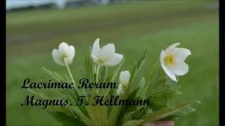 Magnus H. Tellmann - Lacrimae Rerum