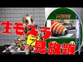 実物のモスラ!!特撮好きのワクワクが止まらない展示会【せっかち解説】