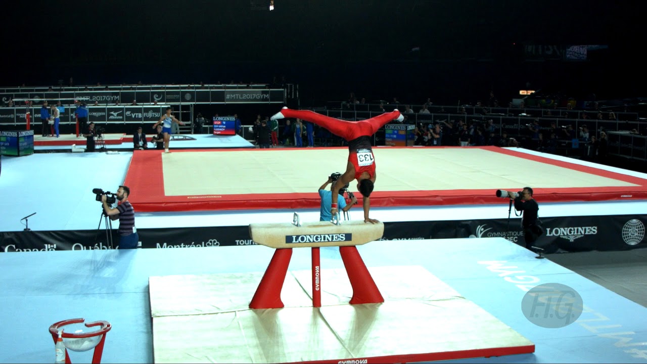 DIMITROV Dimitar (BUL) - 2017 Artistic Worlds, Montréal (CAN) - Qualifications Pommel Horse
