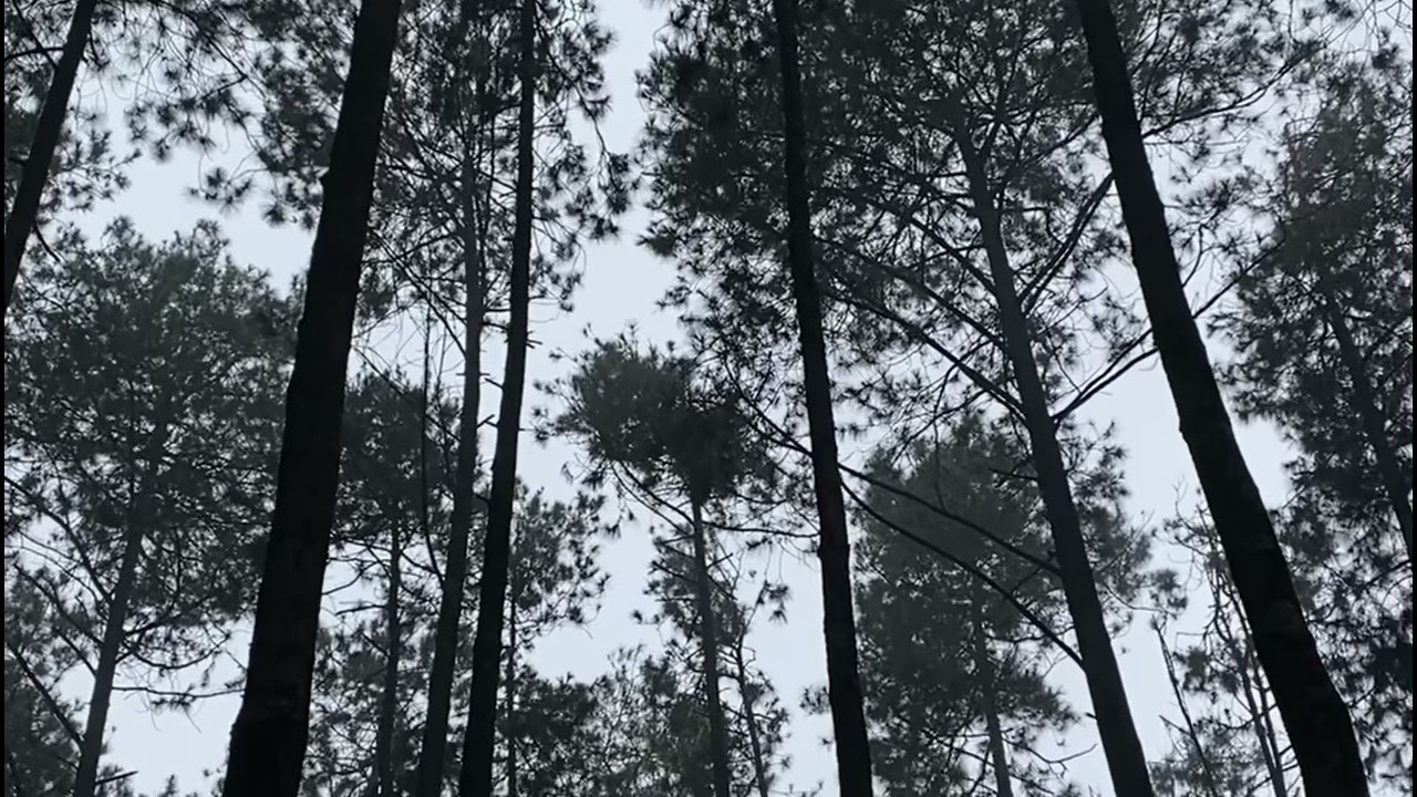 Dokumentasi kegiatan Himpunan Mahasiswa (HMKM Welcome to Maba)