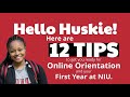 Tips for Students Navigating Orientation and Your First Year at NIU