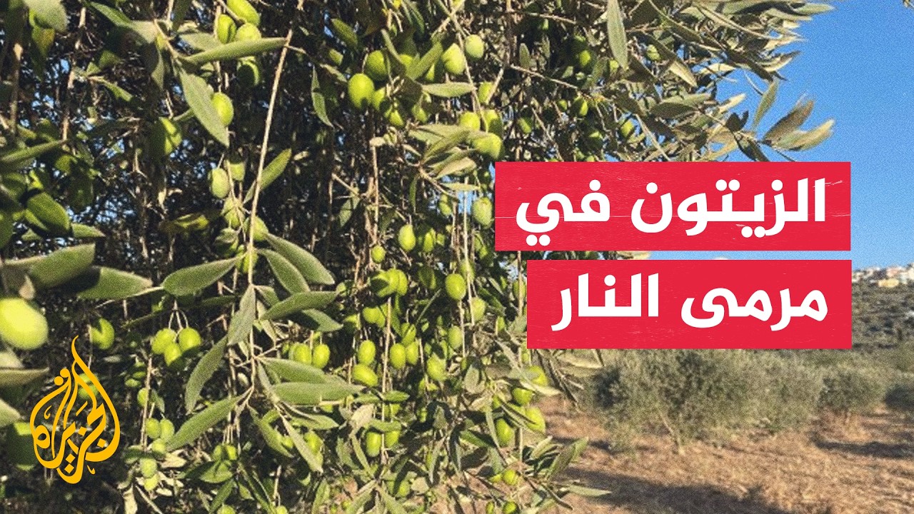����� ������� �� ���� ����������.. ��� ������� �������� �����
 - نشر قبل 23 دقيقة