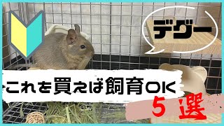 お迎え前に準備しておく飼育用品5選【デグー・degu飼育】 - YouTube