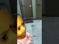 veerla ruthvika VID 20170727 202910 s01