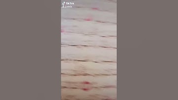 إنما المؤمنون الذين إذا ذكر الله وجلت قلوبهم الشيخ ماهر المعيقلي الحرم المكي قران كريم