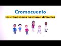 Cromocuento - Síndrome de Down explicado para niños y niñas