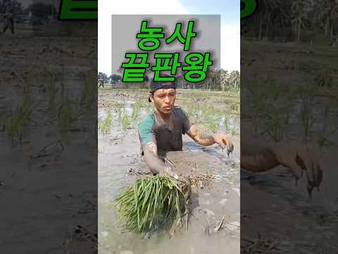 차가운 진흙 속에서도 포기하지 않는 이유
