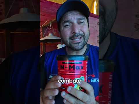 A Fórmula Para Produzir Pintinhos Saudáveis!