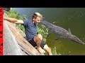 PAUL CUFFARO Almost DIED JUMPING in ABANDONED Everglades Outpost!