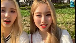 [LOONA] Cherry Blossom VLive with Gowon and Jinsoul (SoulWon) screenshot 3