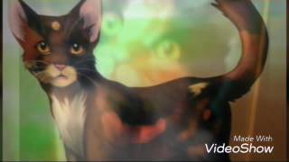 Коты воители Пестролистая и Огнезвёзд Останусь пеплом на губах (заказ с канала Белка коты воители) Коты воители Пестролистая и Огнезвёзд Останусь пеплом на губах (заказ с канала Белка коты воители)