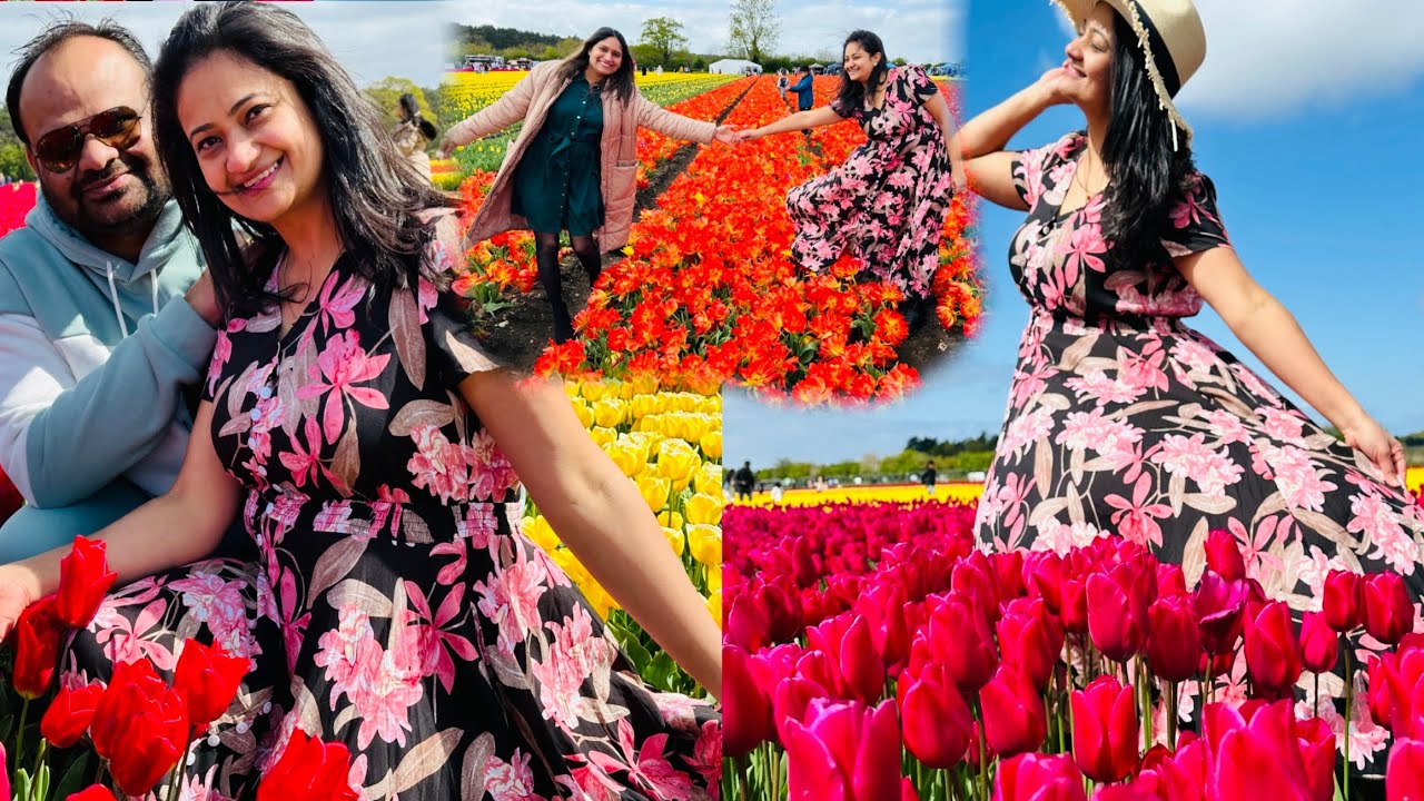 First time visited #Norfolk tulips 🌷 farm in uk 🇬🇧 | how was experience?