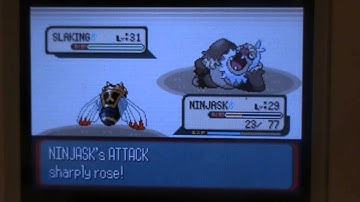 Pokémon Sapphire Flying Monotype Run - Versus Norman.