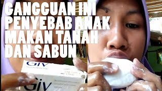 Makan Sabun dan Tanah, Apa Peyebabnya?