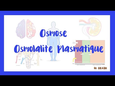 Vidéo: Comment calculer l'osmolalité urinaire ?
