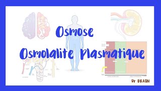 Différence entre l'osmolalité et l'osmolarité