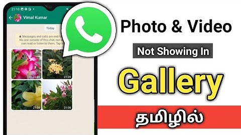 Whatsapp Photos Not Showing In Gallery In Tamil/Whatsapp Videos Not Showing In Gallery In Tamil