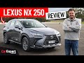2024 lexus nx inc 0100 braking  autonomy review