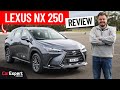 2024 Lexus NX Review: Performance, Braking & Autonomy 🚗