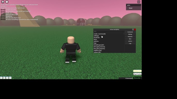 Make any roblox script or gui on your request by Edryi007