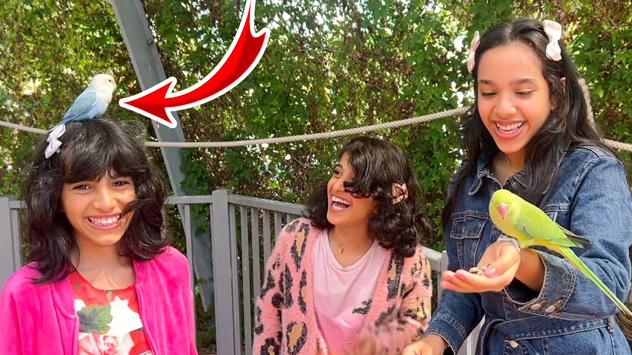 شفا  أكلت حيوانات في حديقة الحيوانات !!