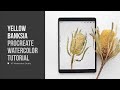 Banksia Flower Illustration • Procreate Watercolor Tutorial • Ipad Watercolor Painting