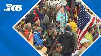 Nearly 90,000 join Seattle’s ‘No Kings’ march