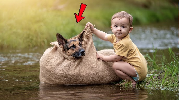 K9 Rescue: The Heartwarming Journey of an Abused Boy and Dog - YouTube