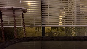 بلال رمان ما تيسر من القرآن الكريم من سورة الشورى. Bilal Romman “Surat Ash-Shura”