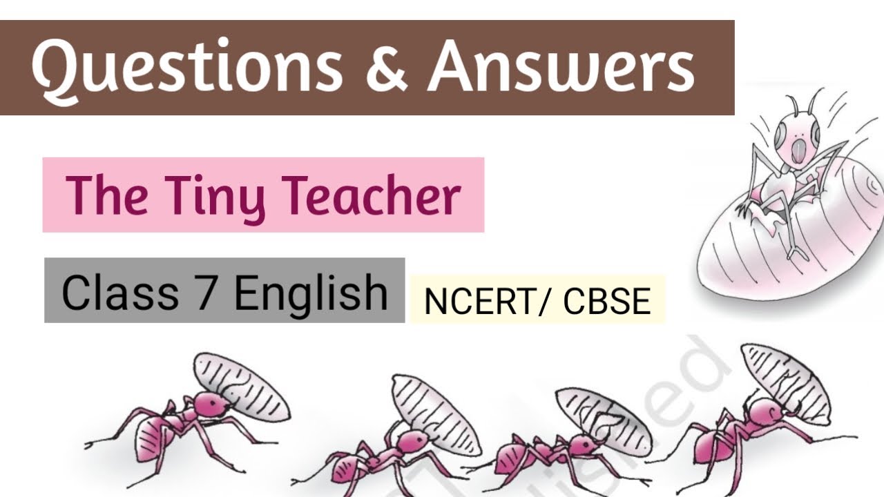 Questions Answers The Tiny Teacher Class 7 English Ncert Cbse questions-answers-the-tiny-teacher-class-7-english-ncert-cbse