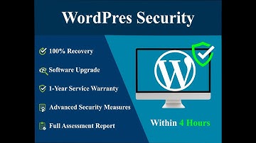 WordPress Malware Removal & Recovery with a 1-year guarantee.