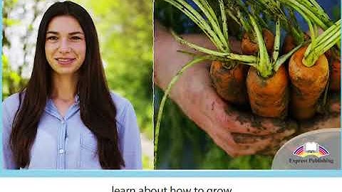 Excel 9 module 6 p71 ex1 Eco Festivals