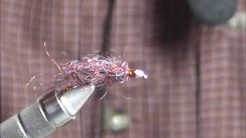 Brian  Chan   Ruby Eyed Leech