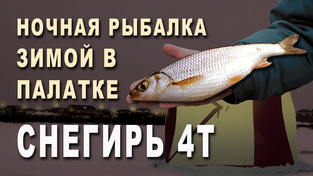 Мороз николай мурманск