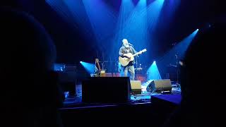 Steve Earle - I Ain&#39;t Ever Satisfied at Bluesfest Melbourne (09/04/23)