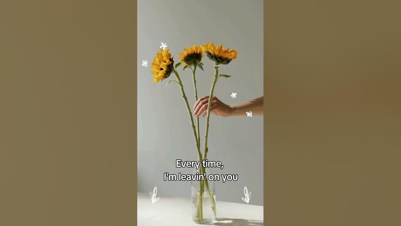 Post Malone - Sunflower #lyrics #musicvideo #music #short