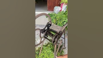 The process of cutting vegetable feed- Good tools and machinery make work easy