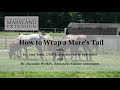 How to Wrap a Mare&#39;s Tail