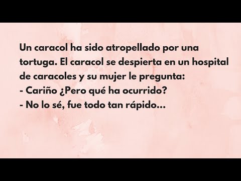 Видео: Un caracol ha sido atropellado. Испанский с юмором. Уровень А.