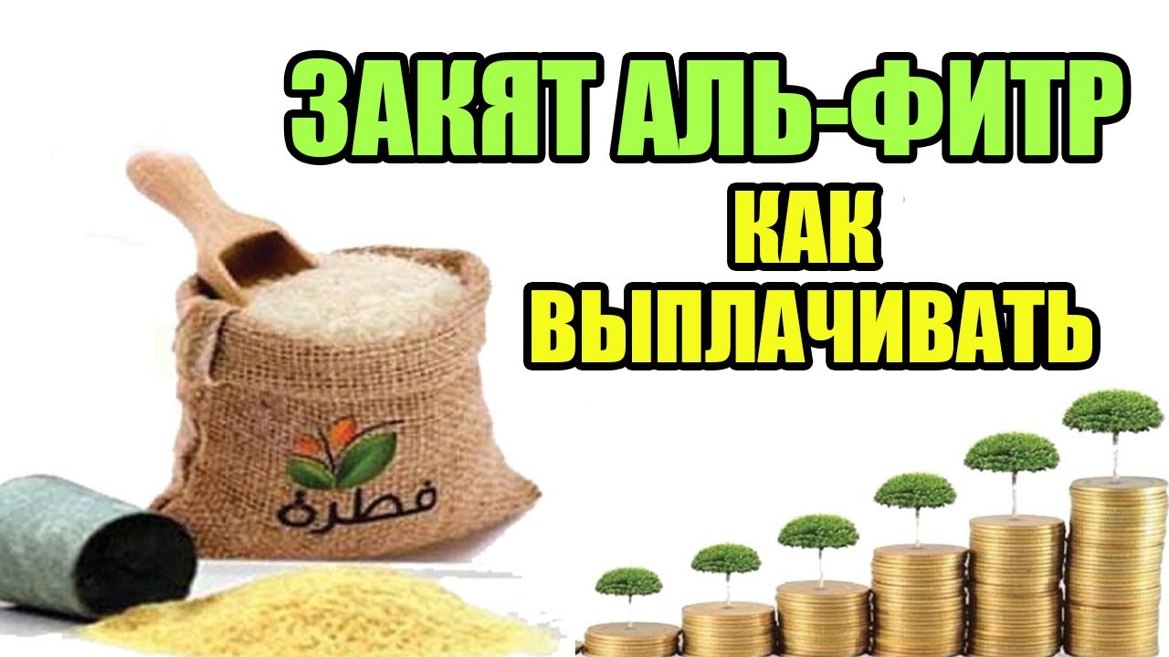 Можно ли давать закят. Продукты на Фитр садака. Закят Аль Фитр. Закятуль Фитр вес продуктов. Закятуль Фитр деньгами.