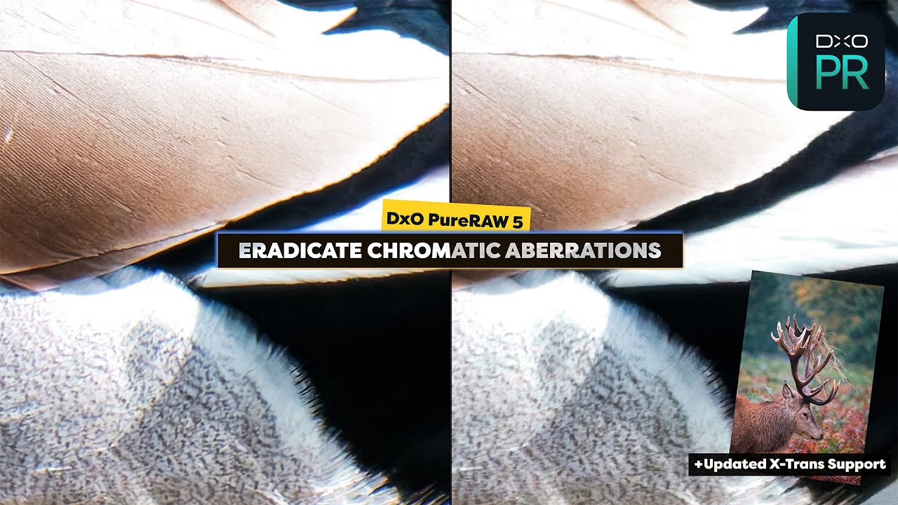 DxO PureRAW 5 - Fantastic chromatic aberration removal