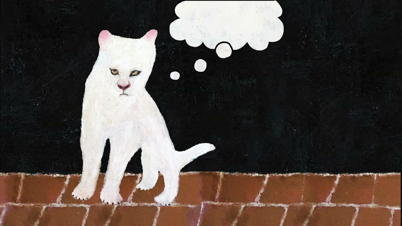 Duster - Hoya Paranoia (HD Visualiser)