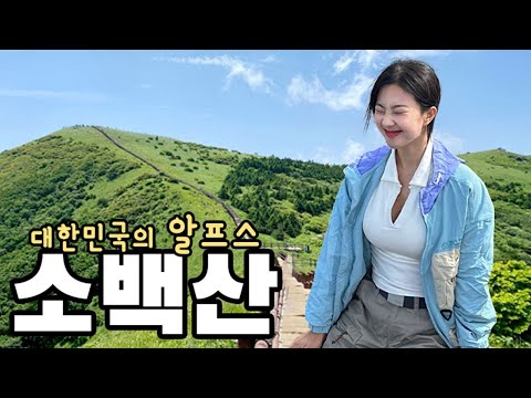 [4K] 서울에서 버스로 오는 한국의 알프스🚌 | 인스타 핫플 | 소백산 | 초보 등산 | 단양여행