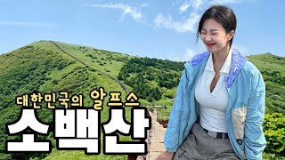 [4K] 서울에서 버스로 오는 한국의 알프스🚌 | 인스타 핫플 | 소백산 | 초보 등산 | 단양여행