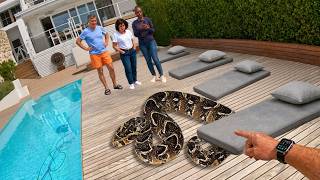 Deadly Snake UNDER His Pillow